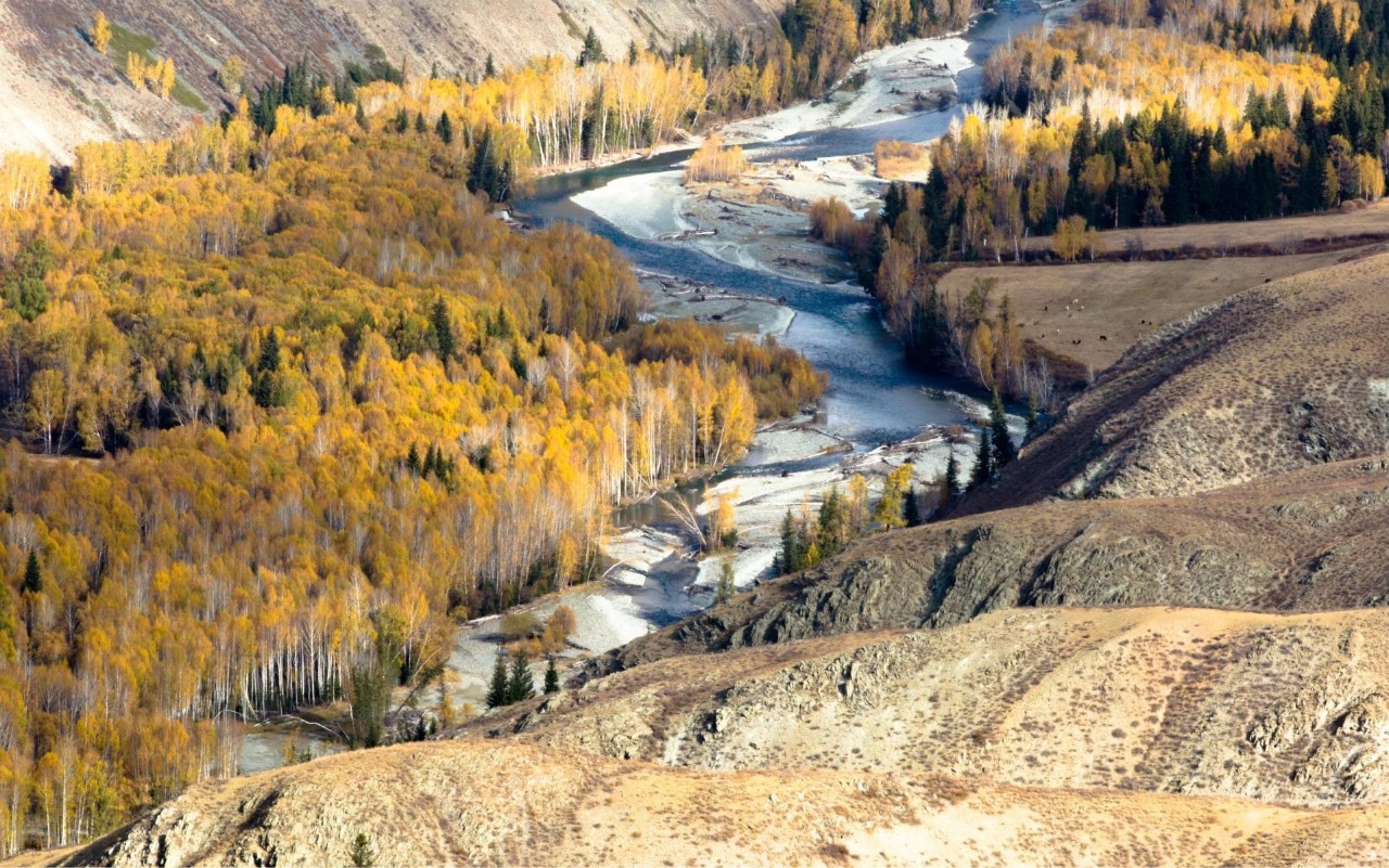 新疆，多彩边疆的魅力与独特风采