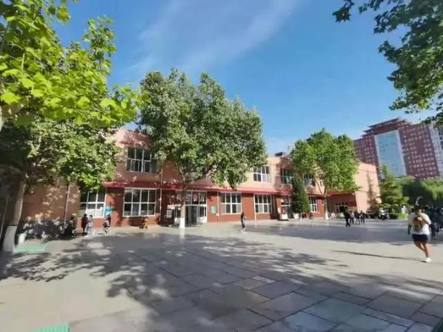 保定菜制作宝典，地道保定菜详细制作步骤指南